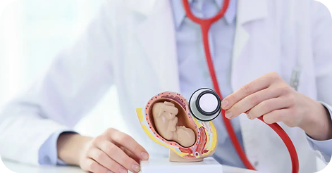 Fetal Medicine